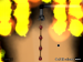 Fire Easy Version -- Around the Pipe
